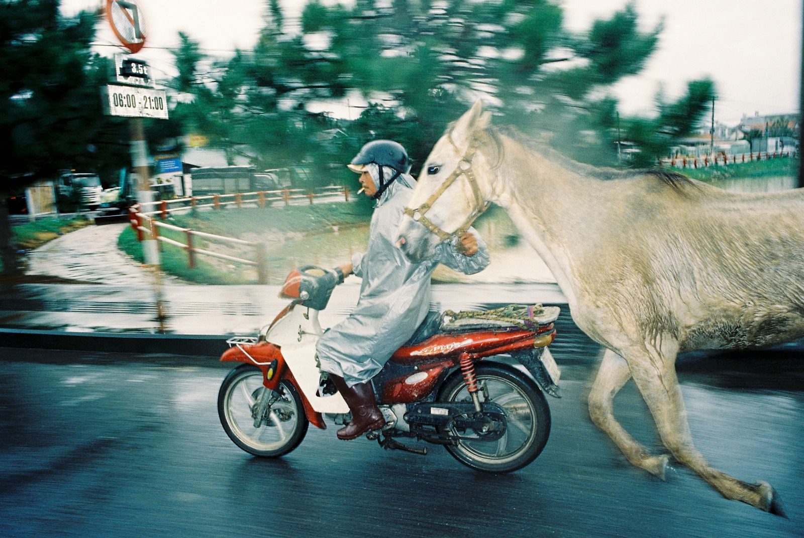 Man on a motorbike in the rain leading a pale horse at a gallop along a wet road, shot on film