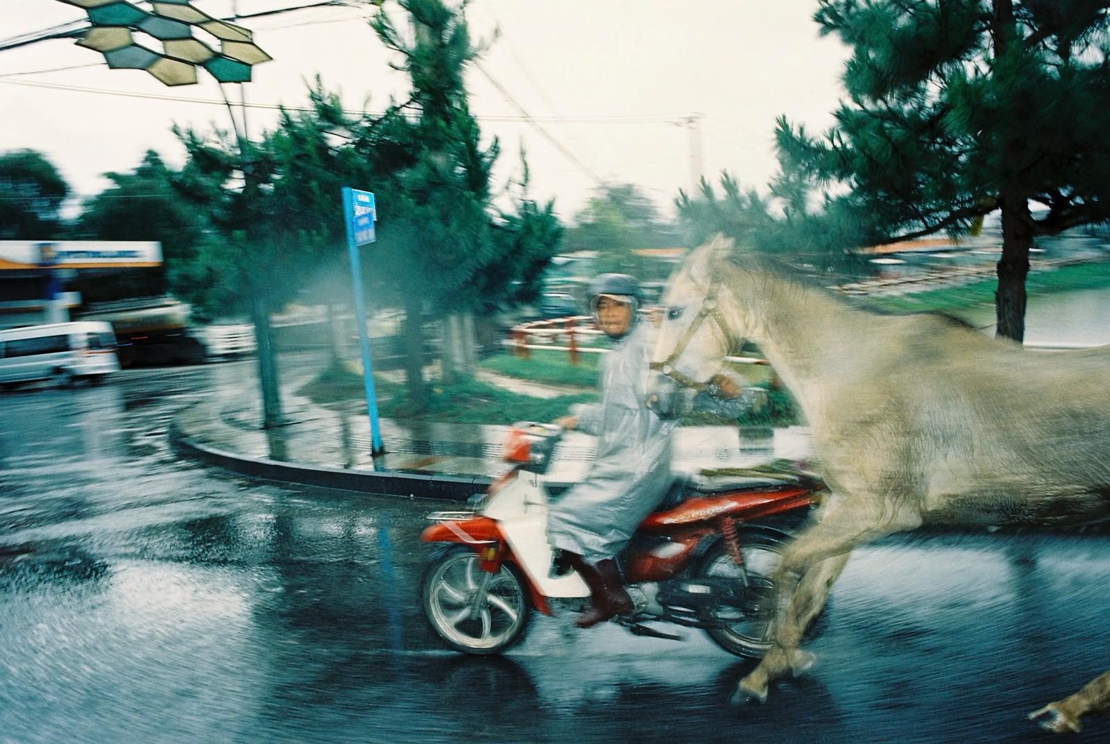 Man on a motorbike in the rain leading a pale horse through a wet roundabout, shot on film